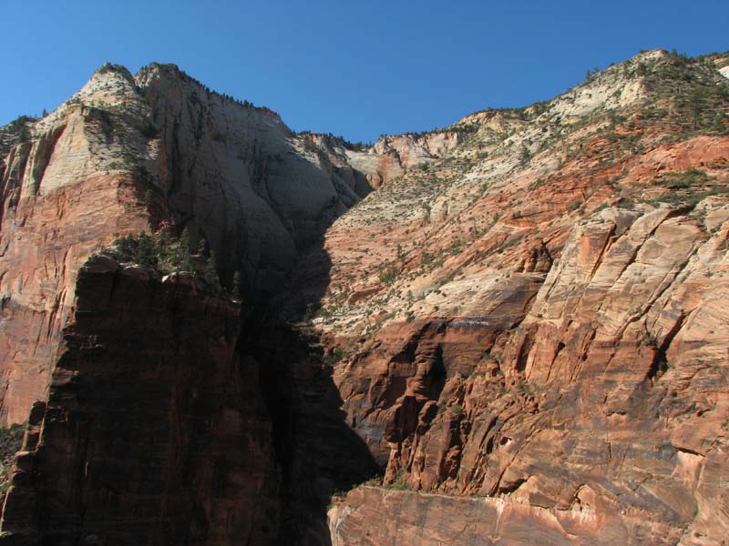 Zion - Observation Point